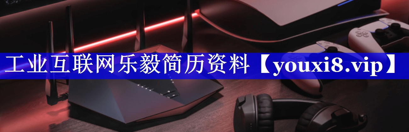 工业互联网乐毅简历资料 工业互联网乐毅简历资料