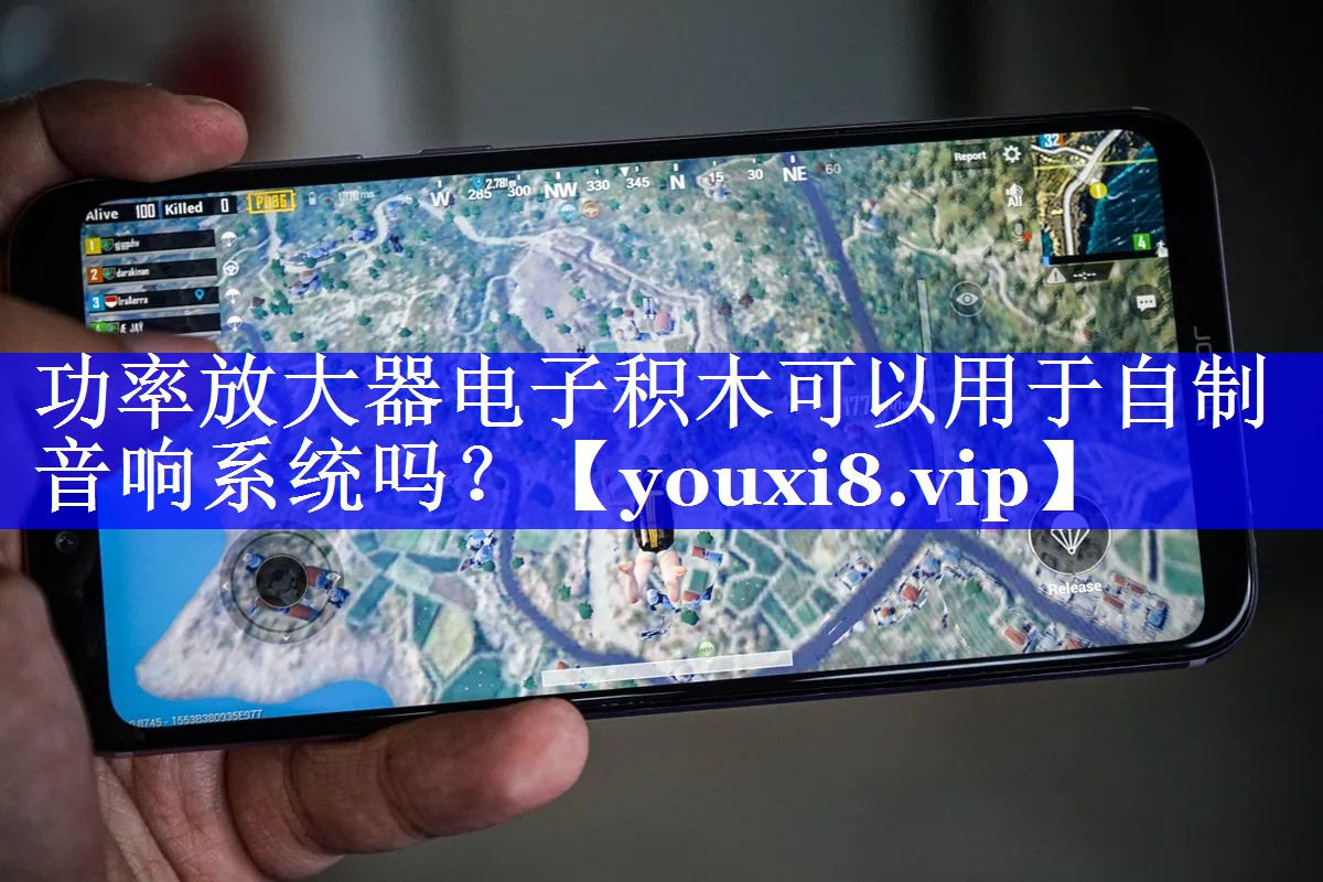 功率放大器电子积木可以用于自制音响系统吗? 功率放大器电子积木可以用于自制音响系统吗?