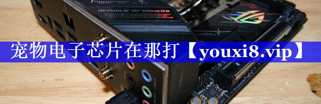 宠物电子芯片在那打 宠物电子芯片在那打