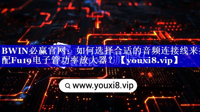 BWIN必赢官网:如何选择合适的音频连接线来搭配Fu19电子管功率放大器? BWIN必赢官网:如何选择合适的音频连接线来搭配Fu19电子管功率放大器?