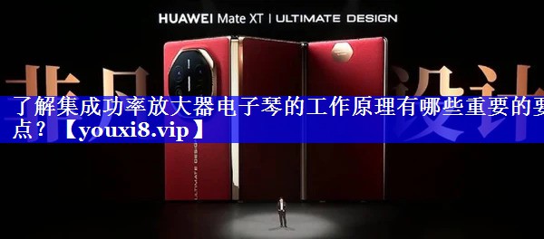 了解集成功率放大器电子琴的工作原理有哪些重要的要点? 了解集成功率放大器电子琴的工作原理有哪些重要的要点?