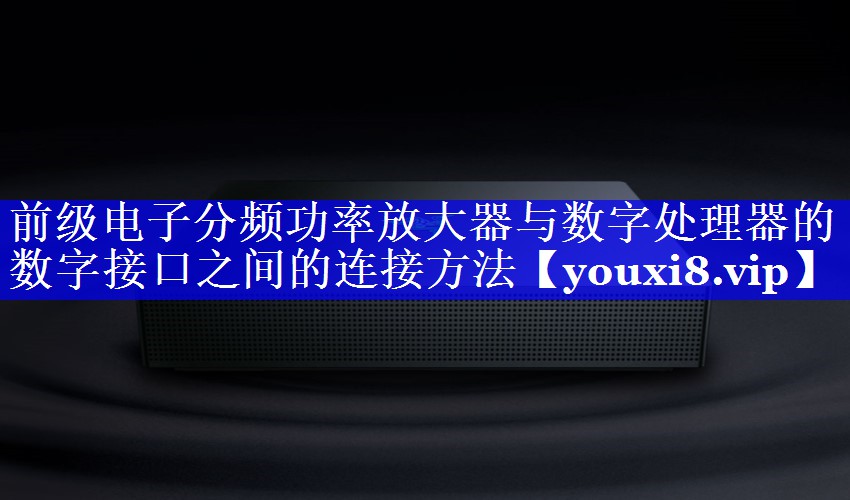 前级电子分频功率放大器与数字处理器的数字接口之间的连接方法 前级电子分频功率放大器与数字处理器的数字接口之间的连接方法