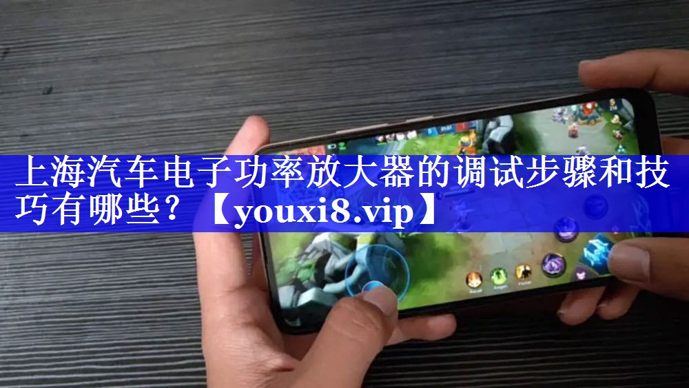 上海汽车电子功率放大器的调试步骤和技巧有哪些? 上海汽车电子功率放大器的调试步骤和技巧有哪些?