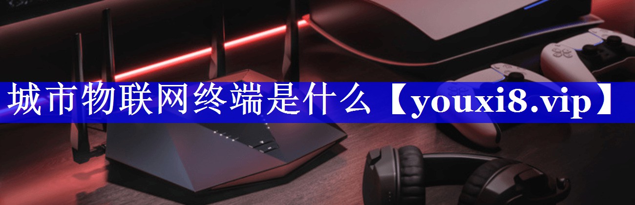 城市物联网终端是什么 城市物联网终端是什么