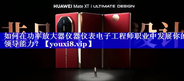 如何在功率放大器仪器仪表电子工程师职业中发展你的领导能力? 如何在功率放大器仪器仪表电子工程师职业中发展你的领导能力?