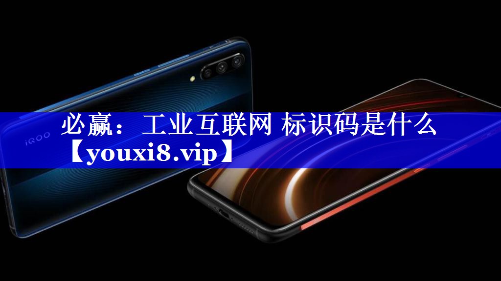 必赢:工业互联网 标识码是什么 必赢:工业互联网 标识码是什么