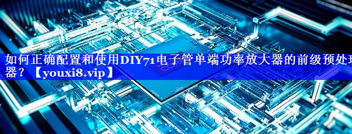 如何正确配置和使用DIY71电子管单端功率放大器的前级预处理器? 如何正确配置和使用DIY71电子管单端功率放大器的前级预处理器?