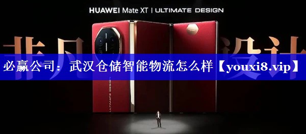 必赢公司：武汉仓储智能物流怎么样