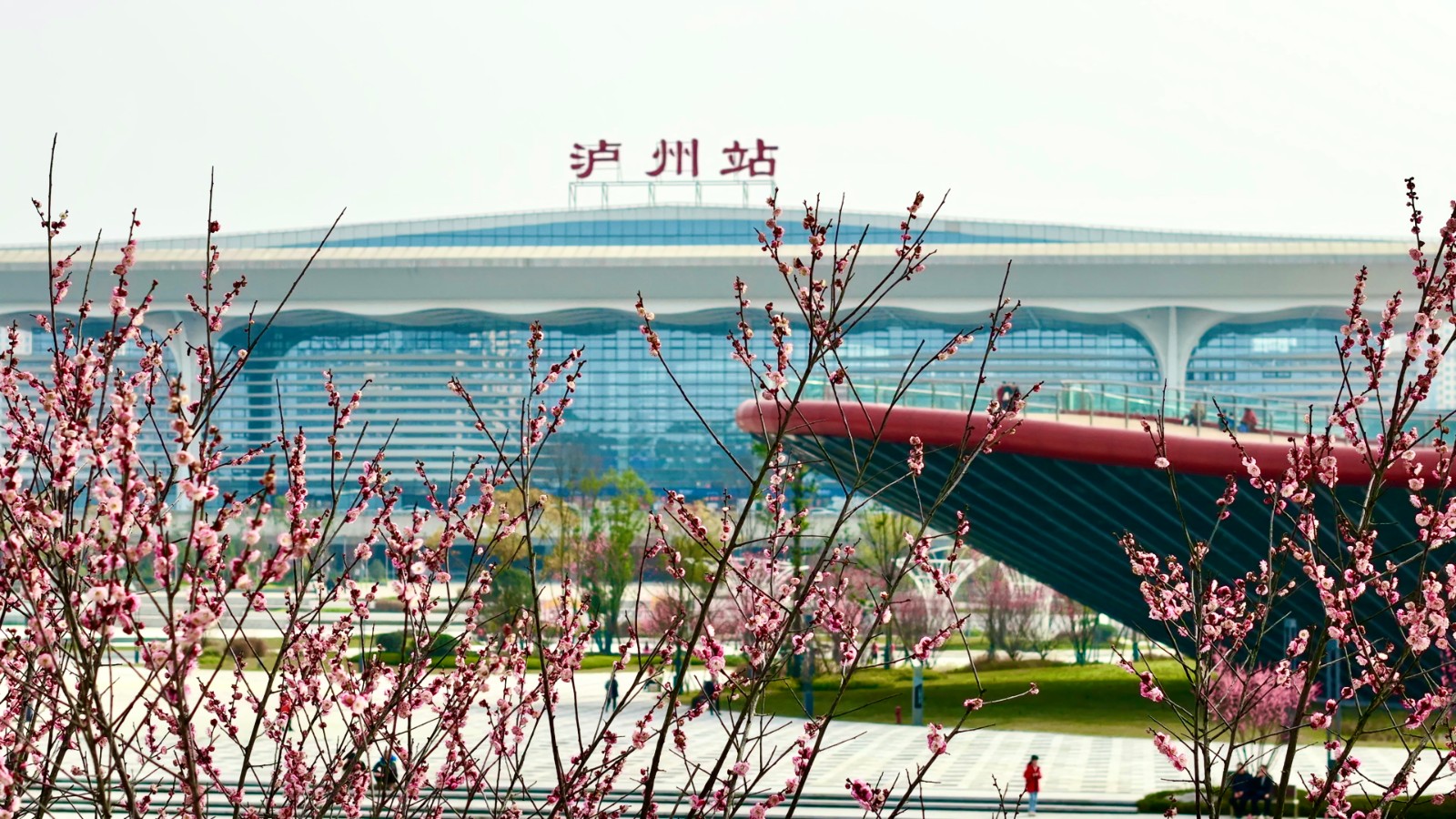 k1体育园林绿化维护