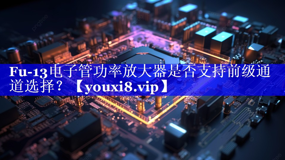 Fu-13电子管功率放大器是否支持前级通道选择? Fu-13电子管功率放大器是否支持前级通道选择?