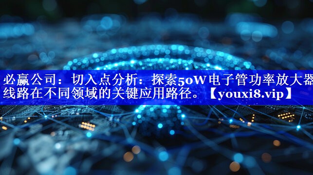 切入点分析:探索50W电子管功率放大器线路在不同领域的关键应用路径。 切入点分析:探索50W电子管功率放大器线路在不同领域的关键应用路径。