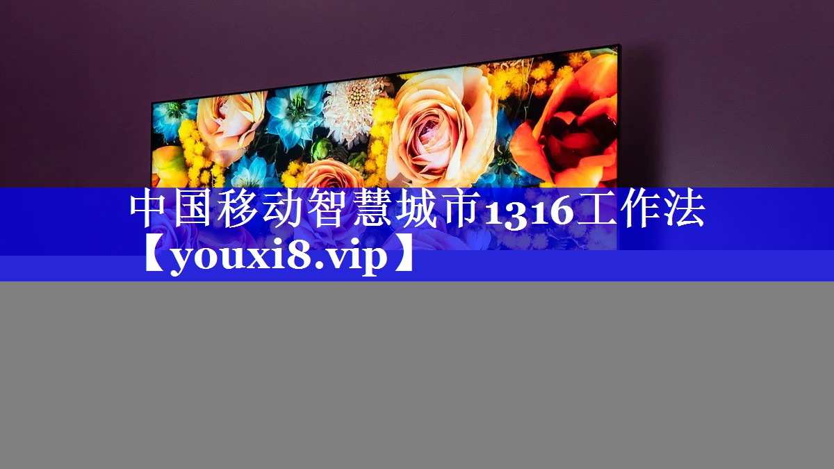 中国移动智慧城市1316工作法 中国移动智慧城市1316工作法