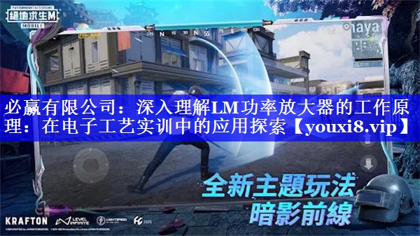 深入理解LM功率放大器的工作原理：在电子工艺实训中的应用探索