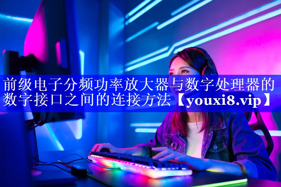 前级电子分频功率放大器与数字处理器的数字接口之间的连接方法 前级电子分频功率放大器与数字处理器的数字接口之间的连接方法