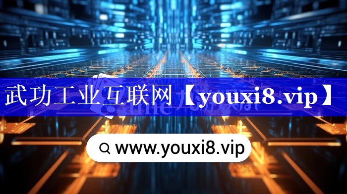 武功工业互联网 武功工业互联网