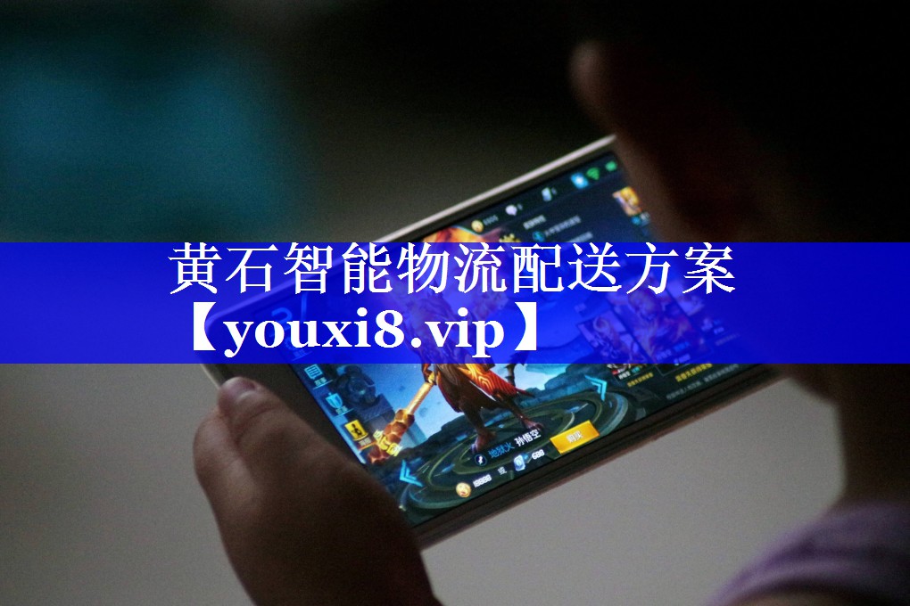 黄石智能物流配送方案 黄石智能物流配送方案
