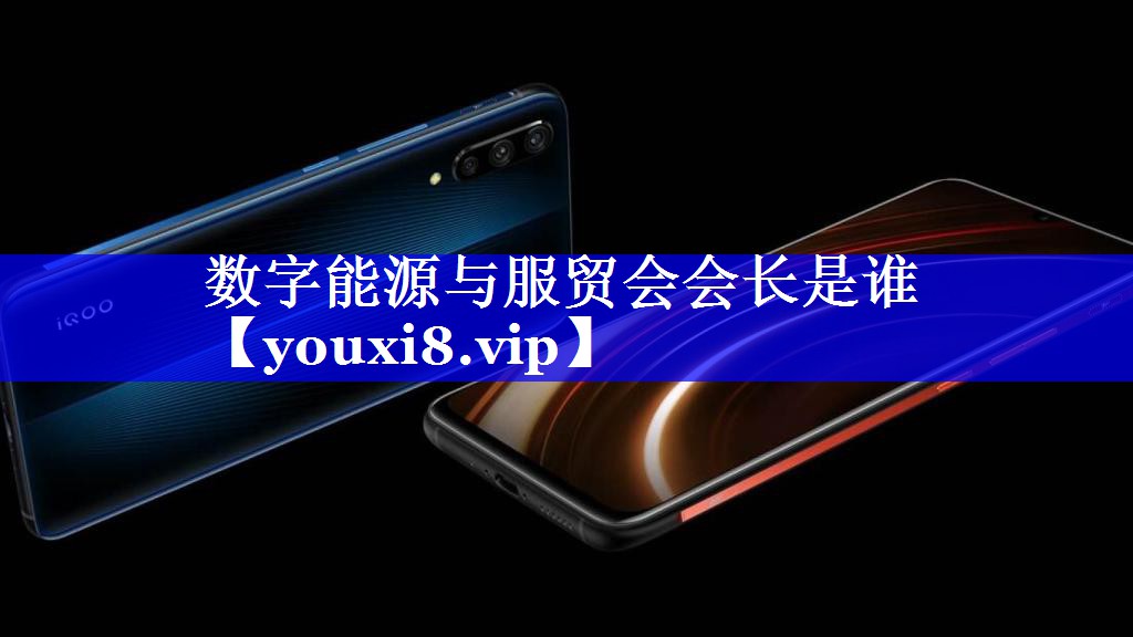 数字能源与服贸会会长是谁 数字能源与服贸会会长是谁