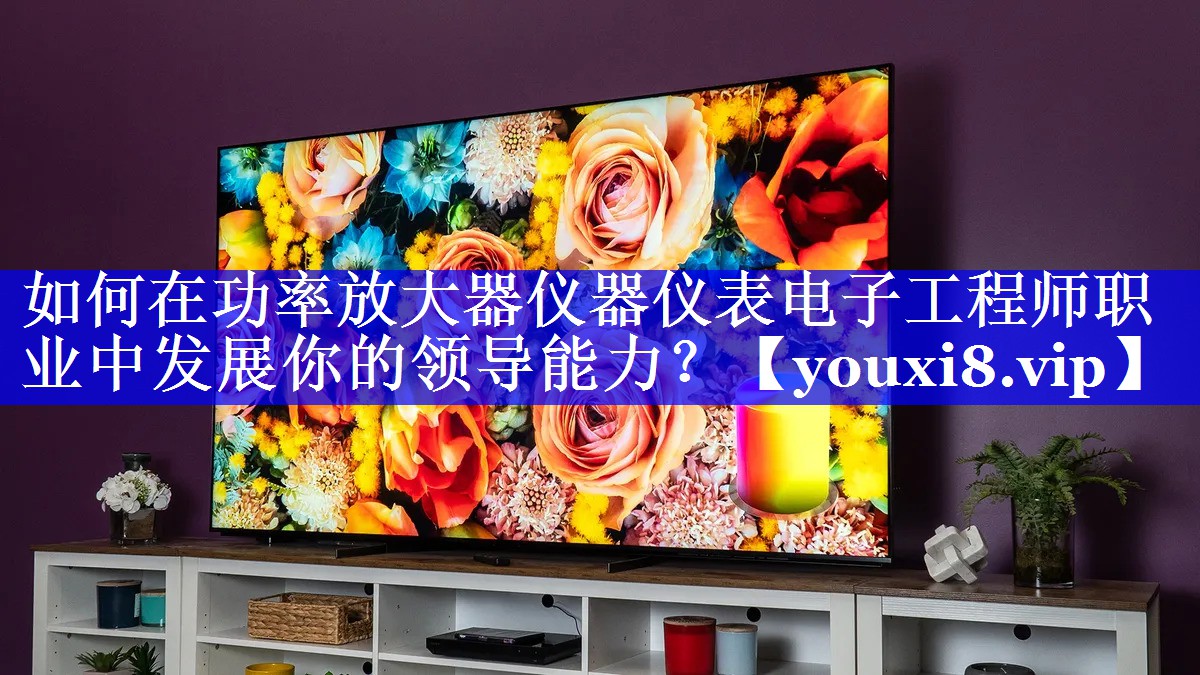如何在功率放大器仪器仪表电子工程师职业中发展你的领导能力? 如何在功率放大器仪器仪表电子工程师职业中发展你的领导能力?