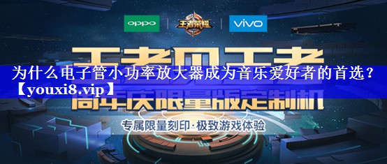为什么电子管小功率放大器成为音乐爱好者的首选? 为什么电子管小功率放大器成为音乐爱好者的首选?