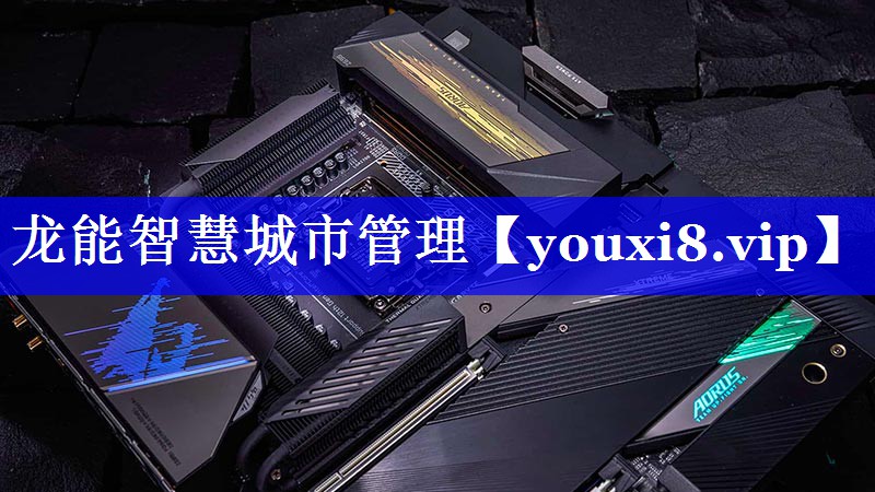 龙能智慧城市管理 龙能智慧城市管理