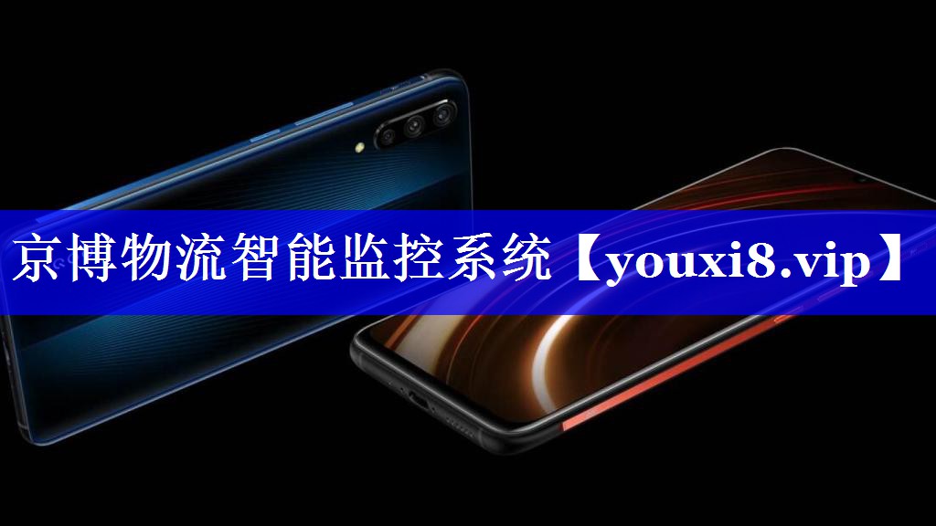 京博物流智能监控系统 京博物流智能监控系统