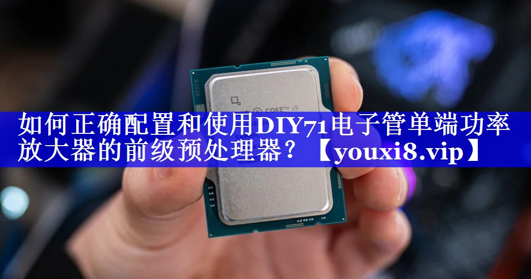 如何正确配置和使用DIY71电子管单端功率放大器的前级预处理器? 如何正确配置和使用DIY71电子管单端功率放大器的前级预处理器?