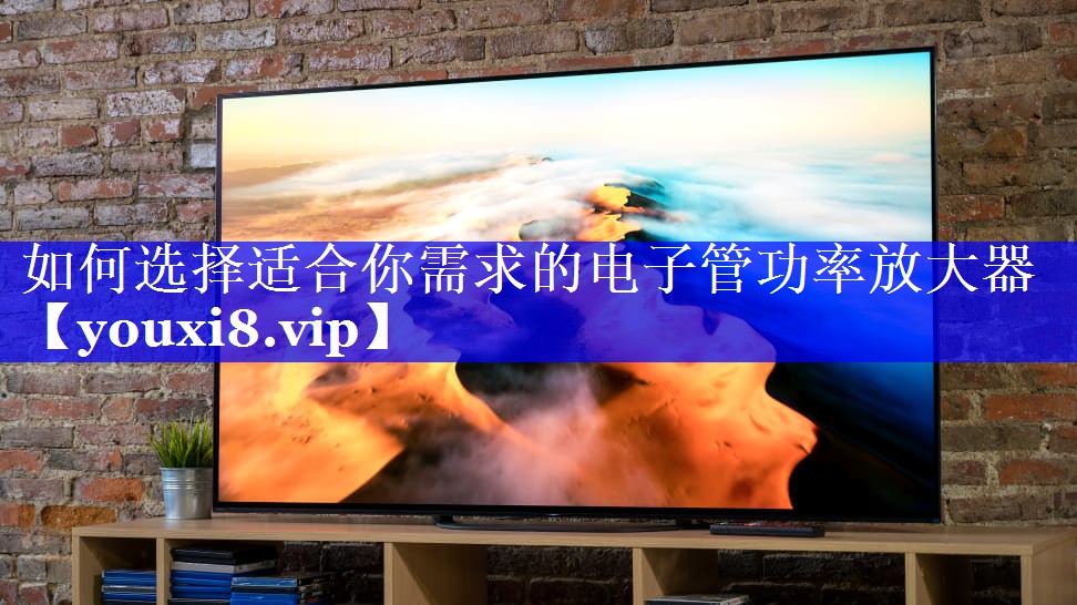 如何选择适合你需求的电子管功率放大器 如何选择适合你需求的电子管功率放大器