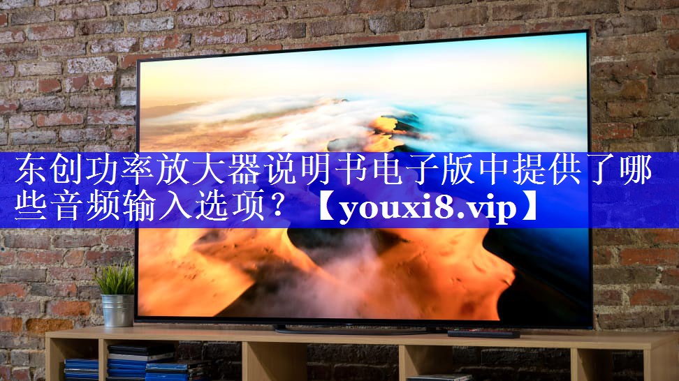 东创功率放大器说明书电子版中提供了哪些音频输入选项？