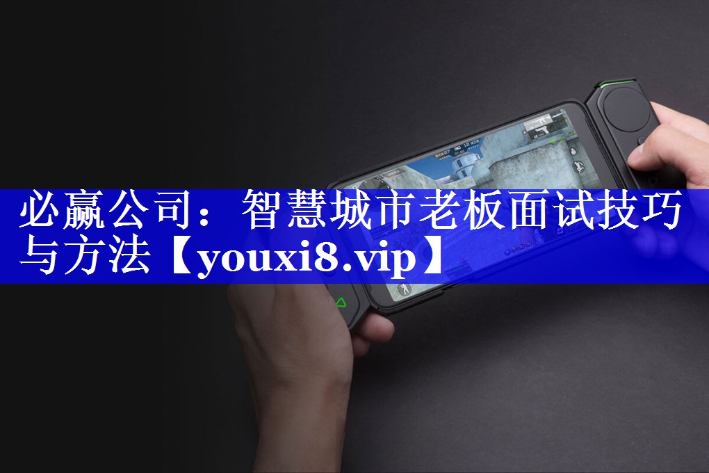 智慧城市老板面试技巧与方法