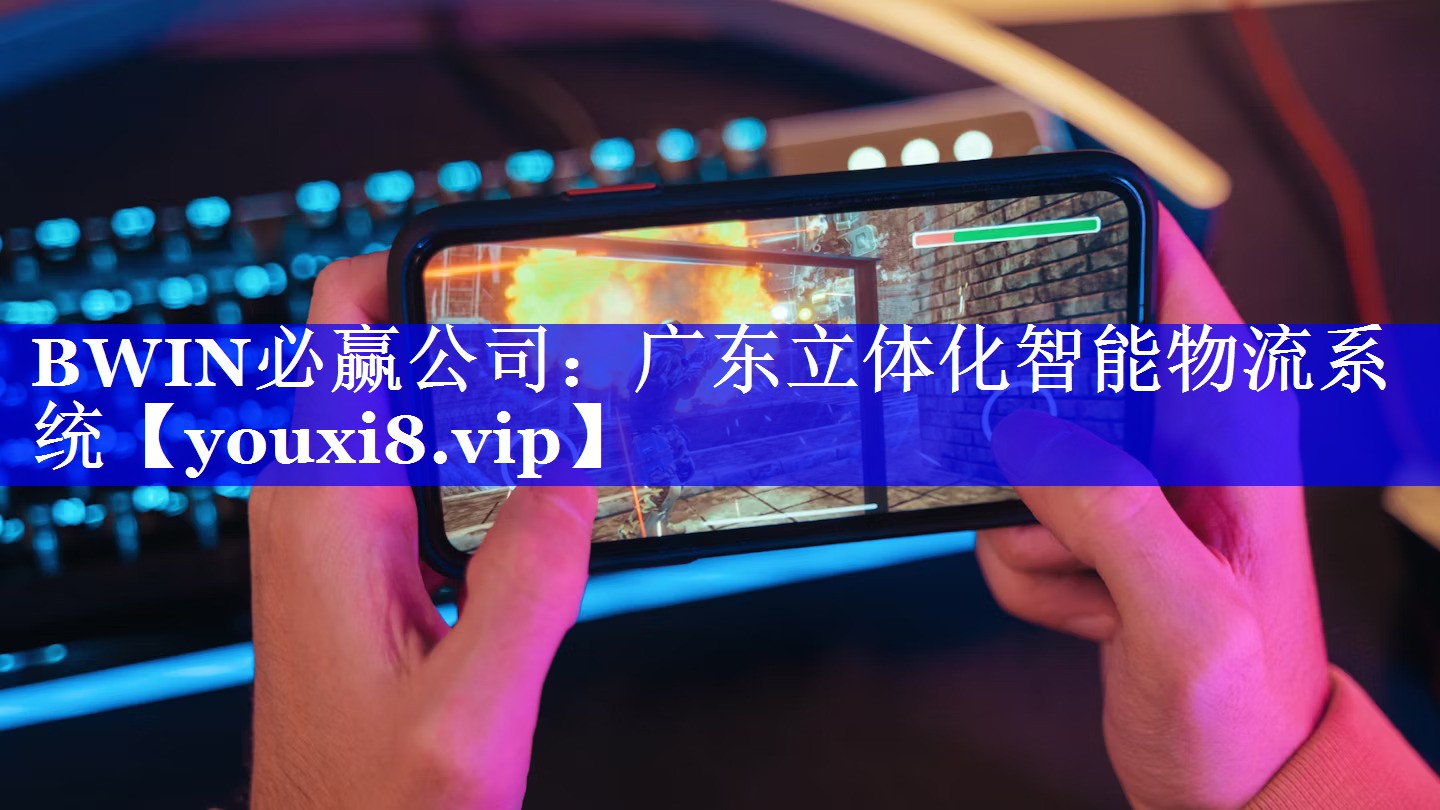 广东立体化智能物流系统